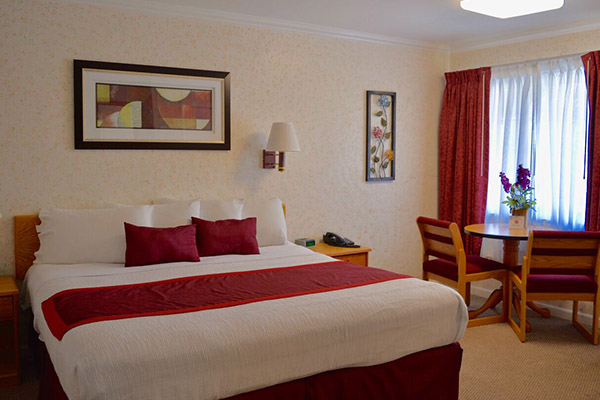 KING ROOM WITH MODERN DECOR AND PREMIUM BEDDING